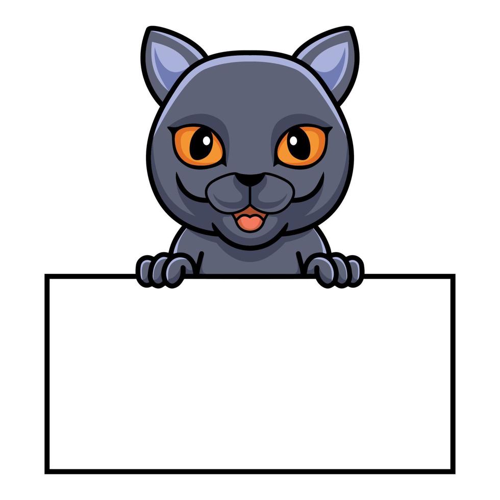 Cute dibujos animados de gato británico de pelo corto con cartel en blanco vector