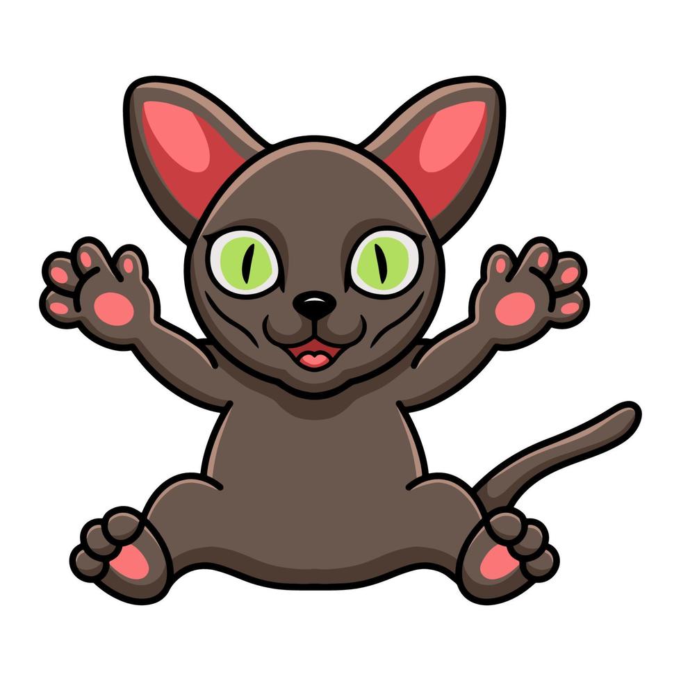 Cute korat cat cartoon raising hands vector