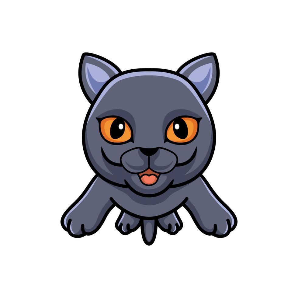 Cute british shorthair cat cartoon flying vector