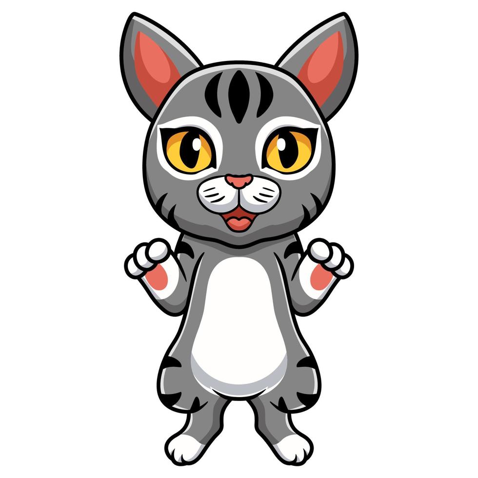 lindo, manx, gato, caricatura, posición vector