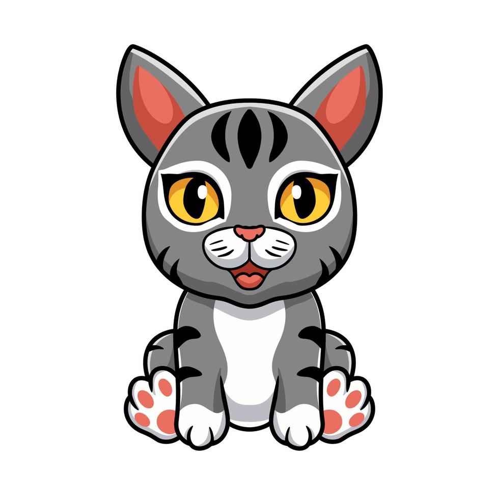 Cute manx cat cartoon sitting vector