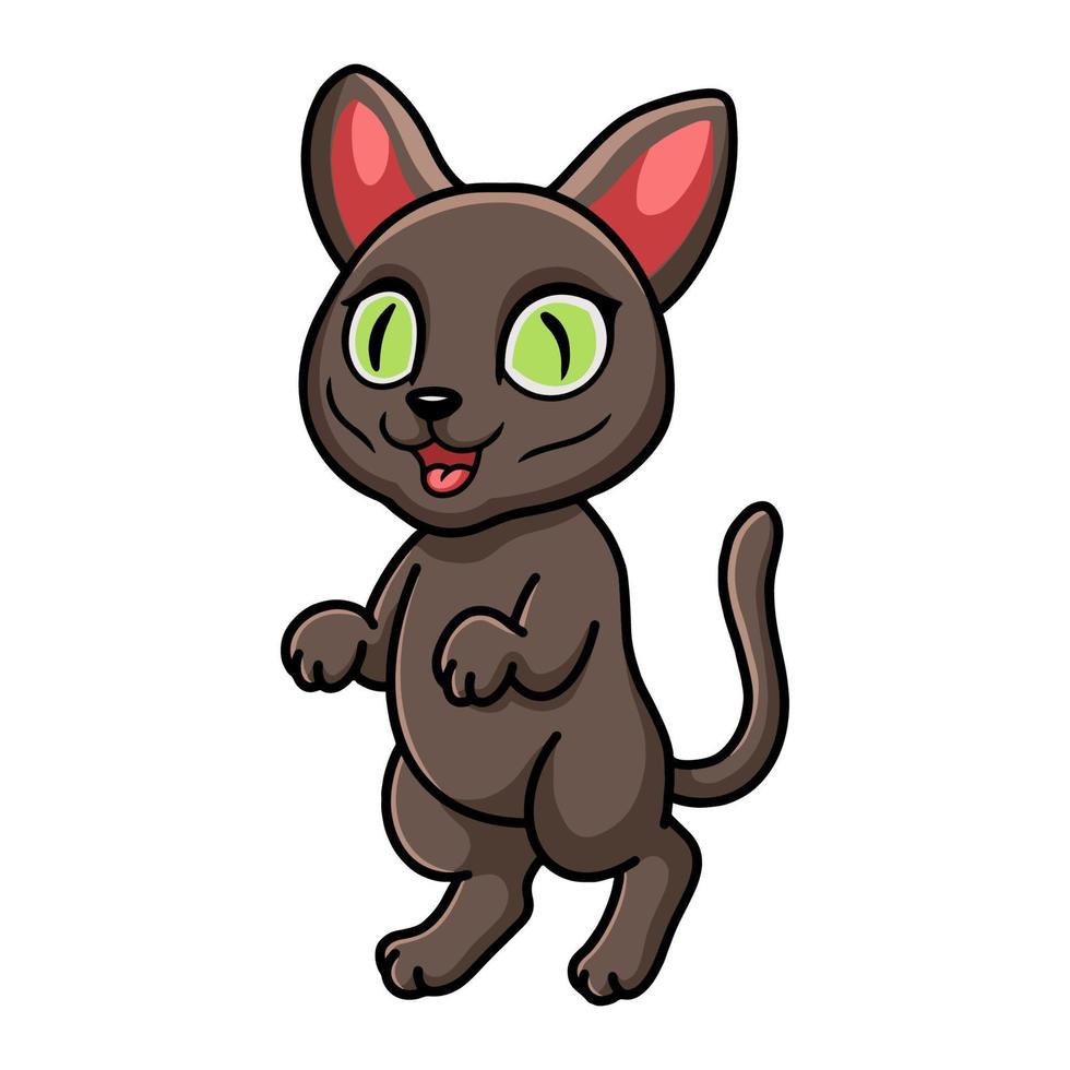 lindo gato korat de pie de dibujos animados vector