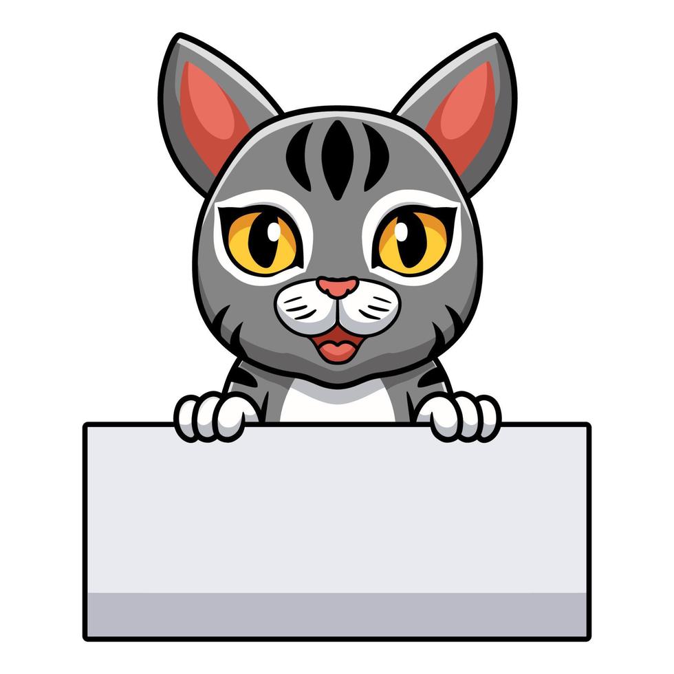 Cute manx cat cartoon holding blank sign vector