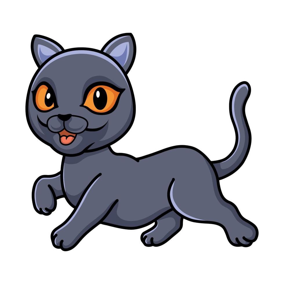 Cute british shorthair cat cartoon vector
