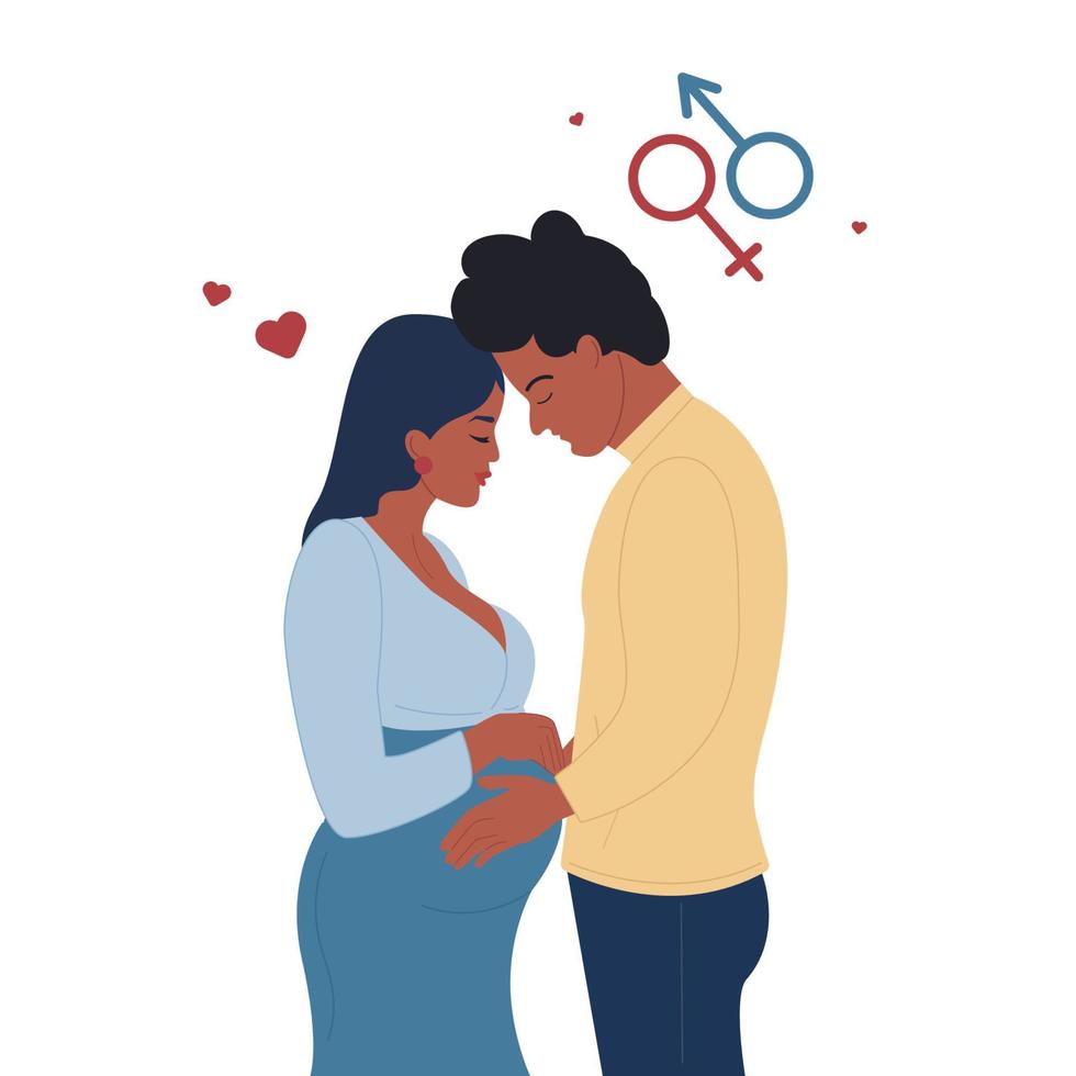 Pregnant black African American woman and man holding, touching belly. Boy or girl. vector