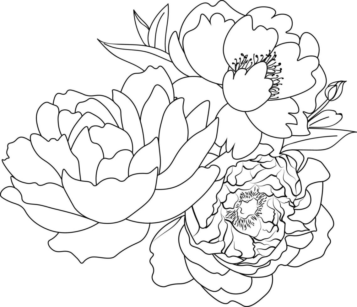 Easy floral vector pattern in peony flowers sketch style.