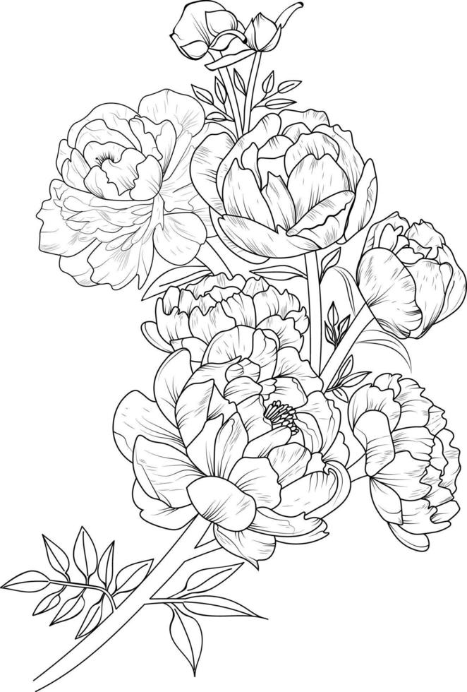Vector illustration of beautiful peony flowers bouquet, hand-drawn coloring book of artistic, blossom flowers buttercup isolated on white background, sketch art leaf branch botanic collection adults.