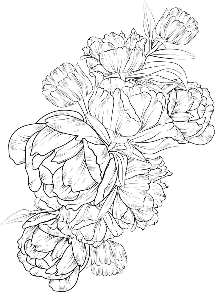 Peony flower drawing. Hand-drawn peony flower bouquet vector sketch illustration engraved ink art botanical leaf branch collection isolated on white background coloring page and books.