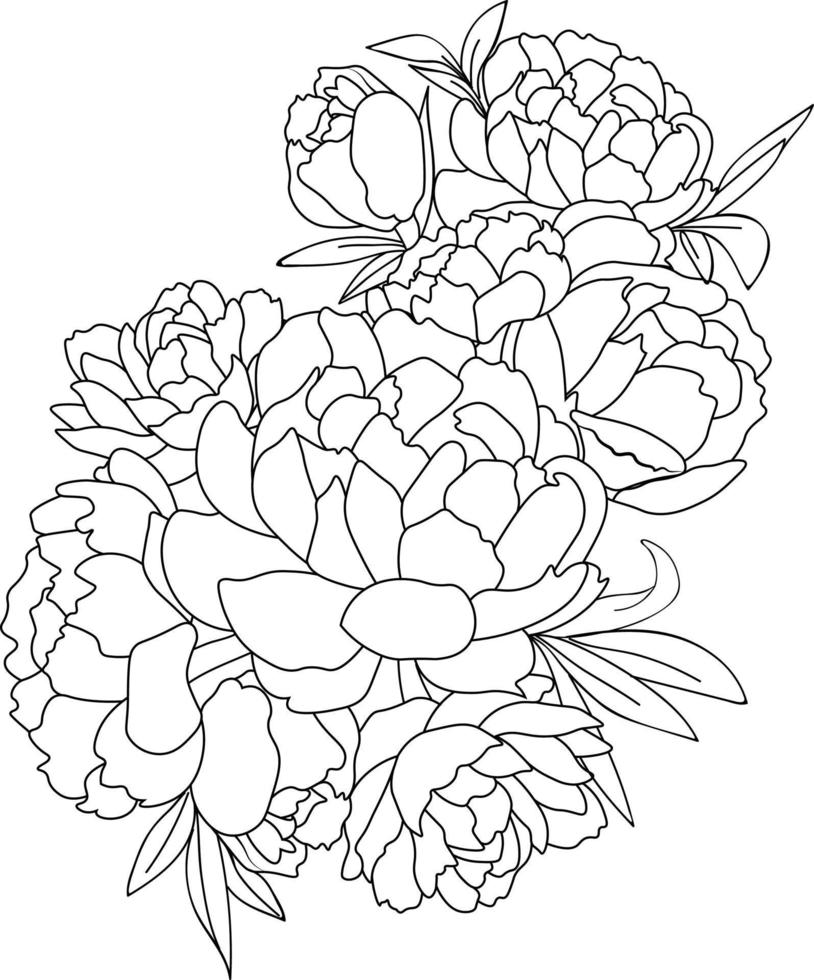 Peony vector art, Sketch of outline buttercup flower coloring book hand drawn vector illustration artistically engraved ink art blossom narcissus flowers isolated on white background clip art .