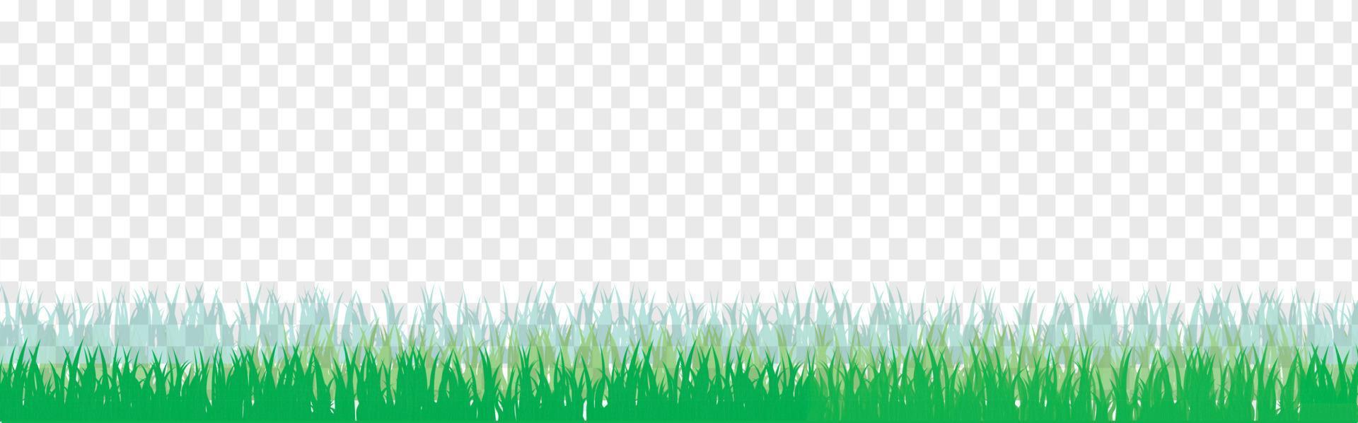 Vector bright green realistic seamless grass border isolated on transparent background