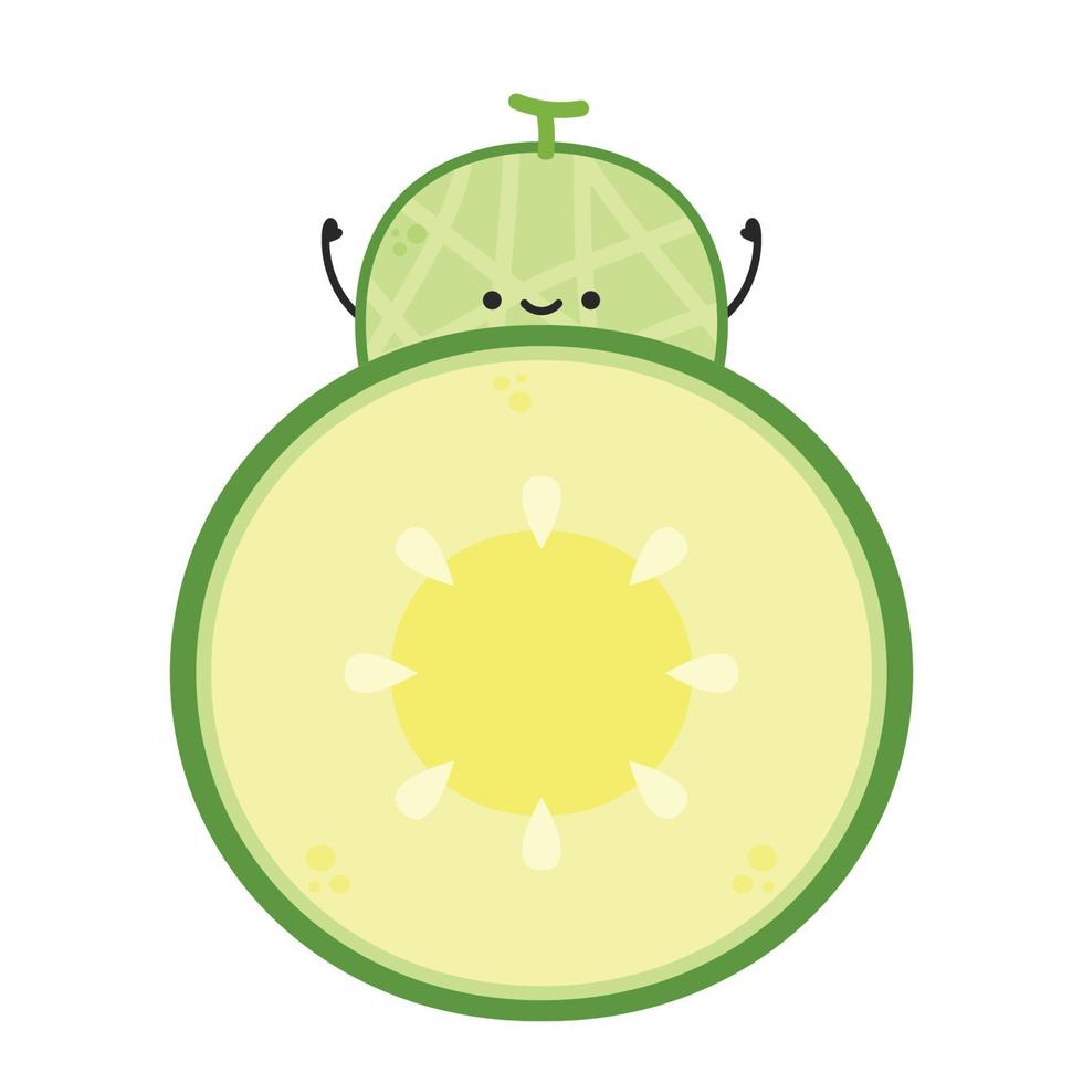 Melon character design. melon on white background. Melon cartoon. vector