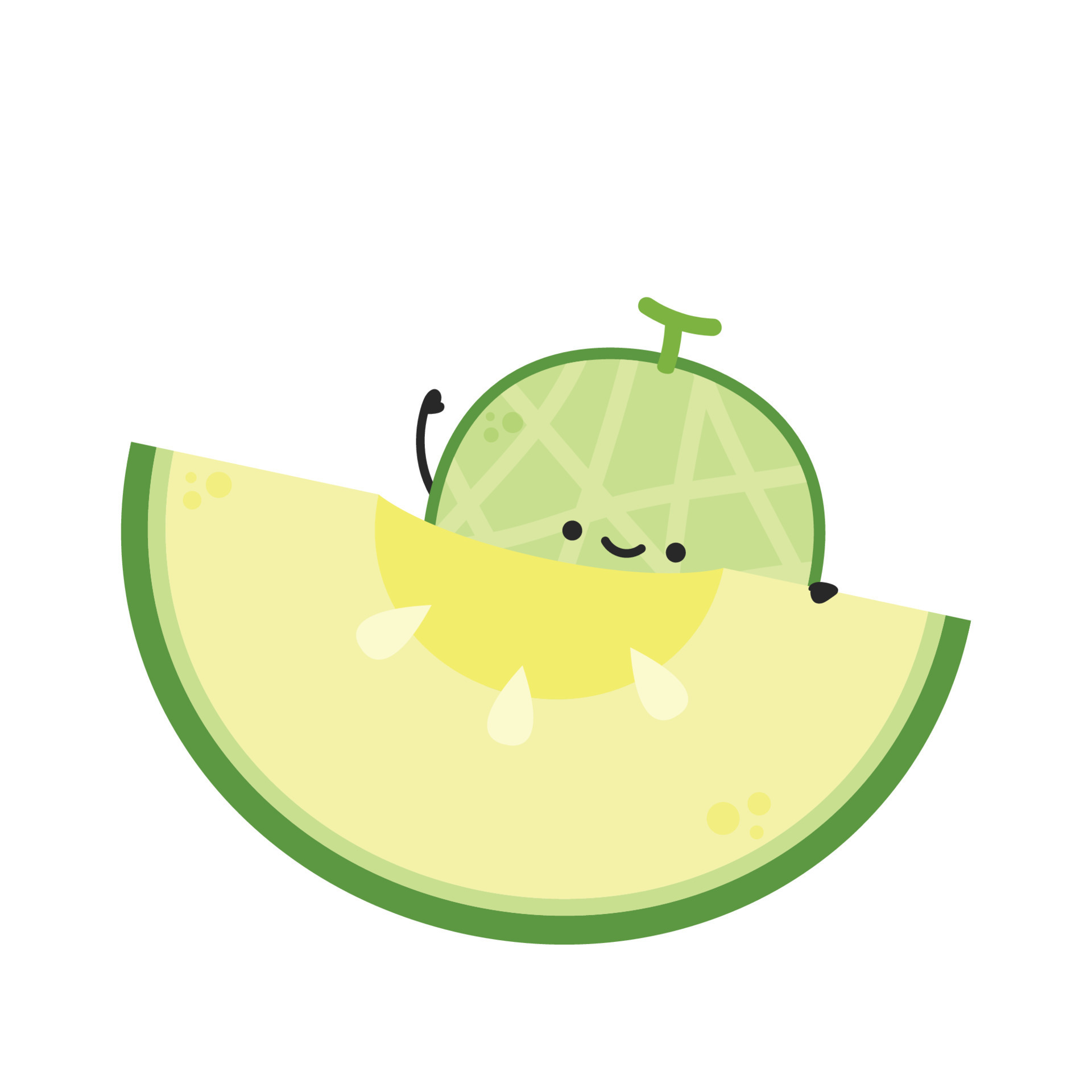 Melon character design. melon on white background. Melon cartoon