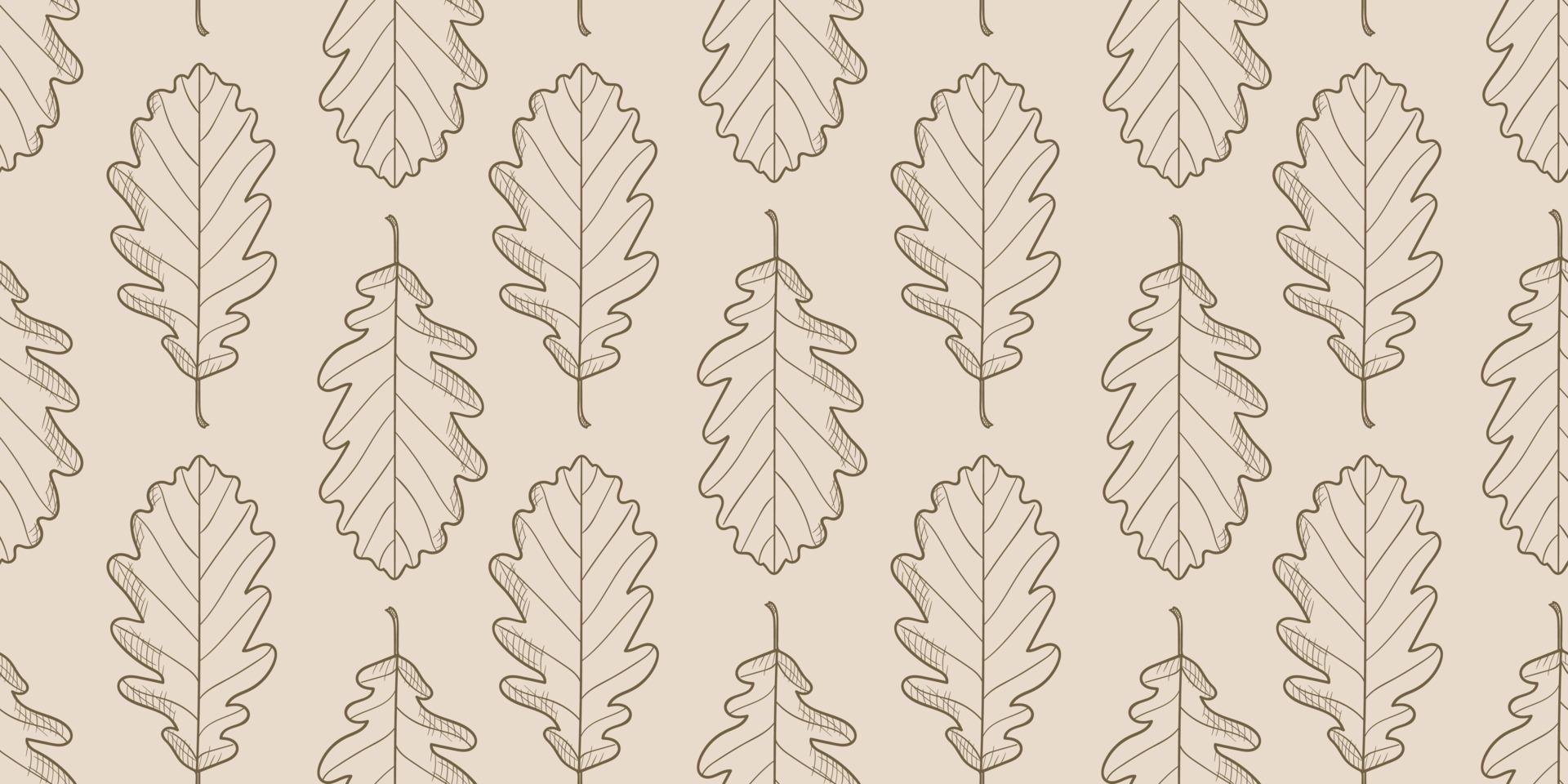 Leaves pattern vector background, botanical illustration