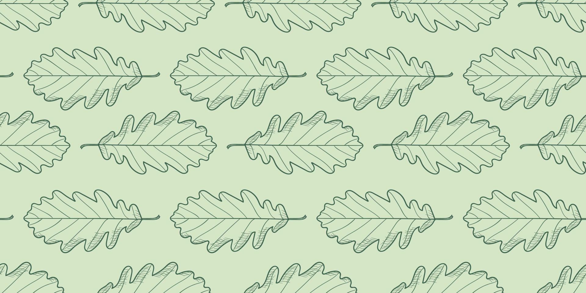 Leaves pattern vector background, botanical illustration