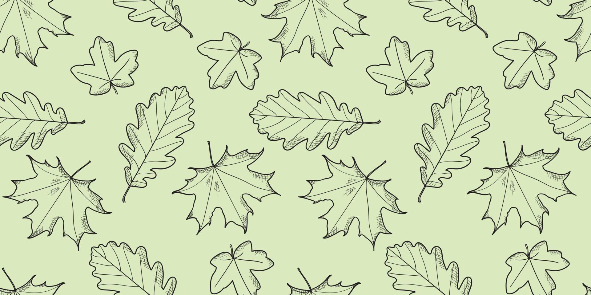 Leaves pattern vector background, botanical illustration