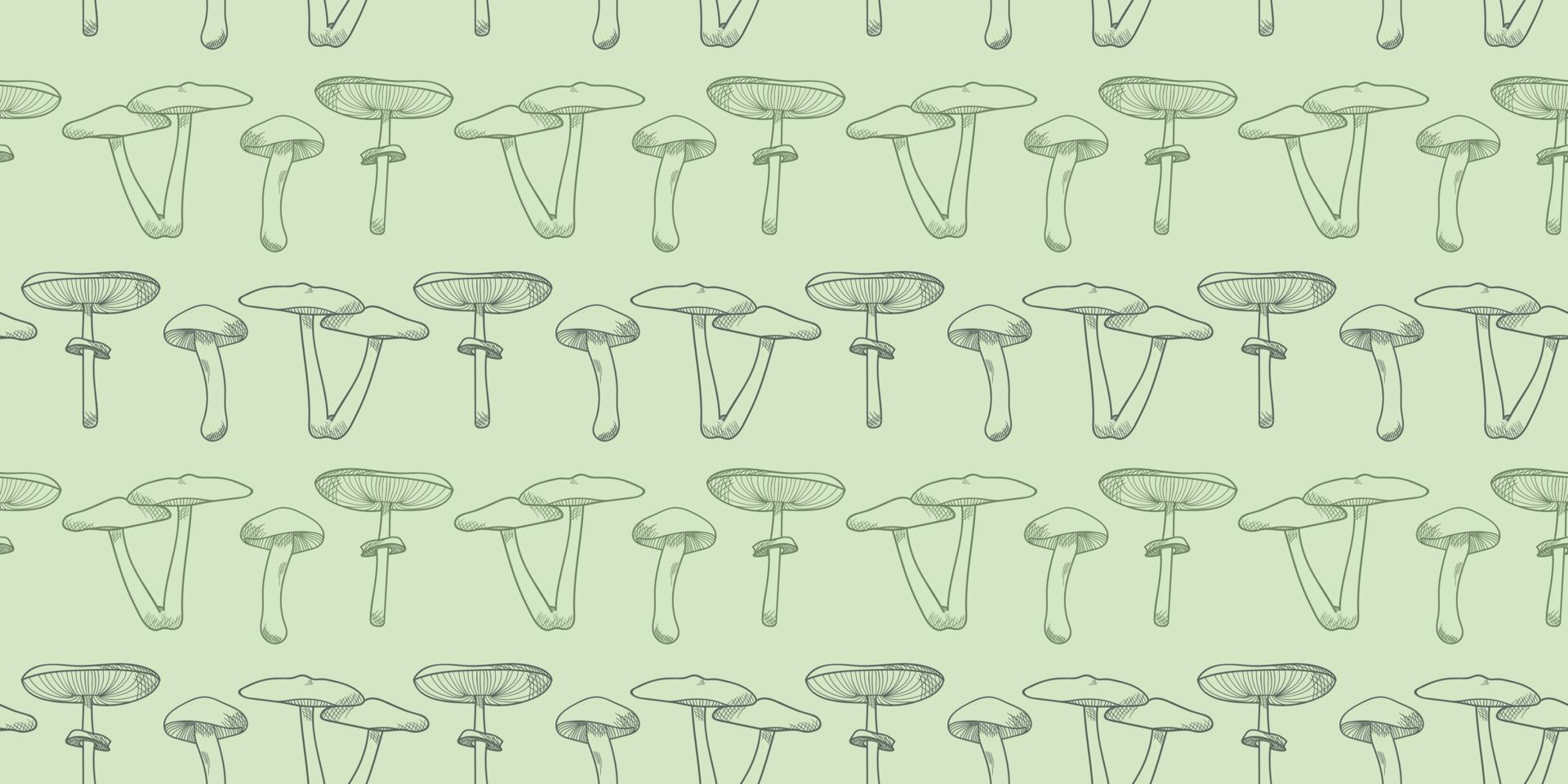 Mushroom vector pattern background, botanical illustration