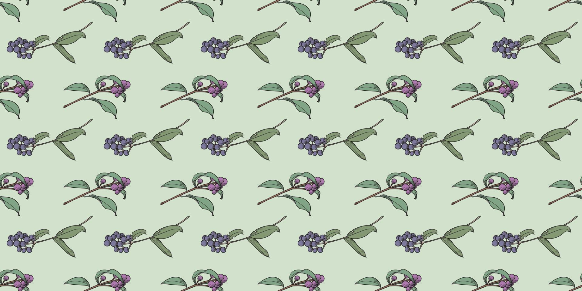 Berry botanical illustration vector pattern background,