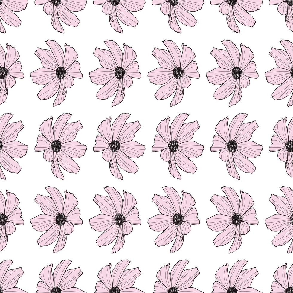 Garden cosmos flower repeat pattern, vector, spring design vector