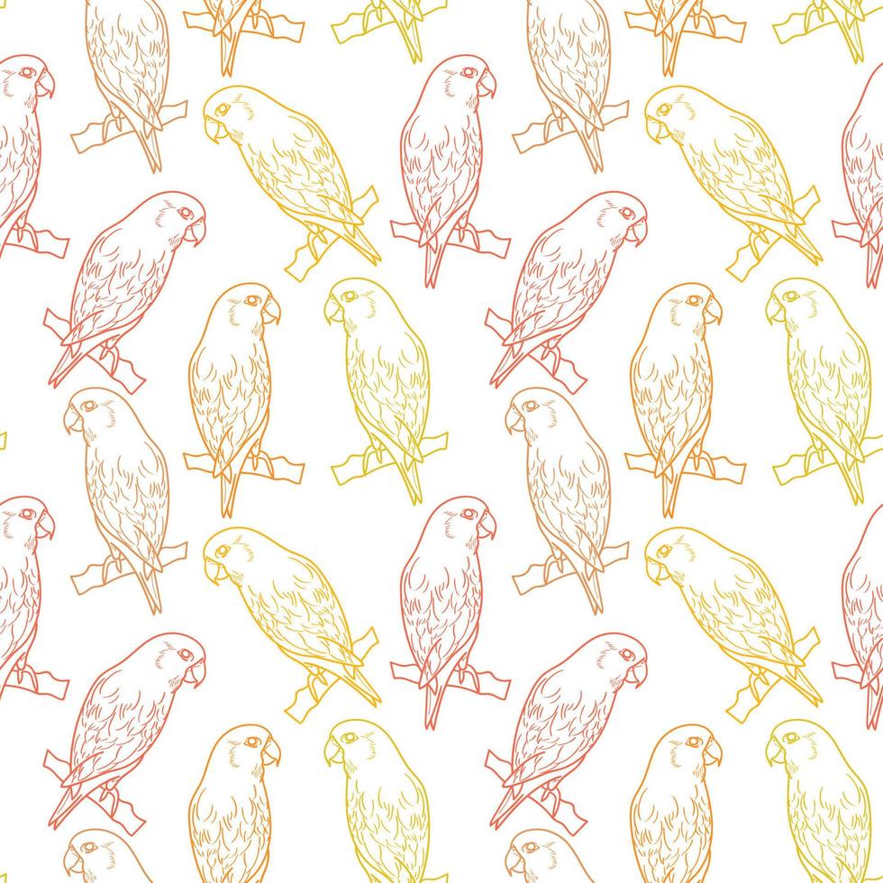 Bird vector background, parrot repeat pattern design