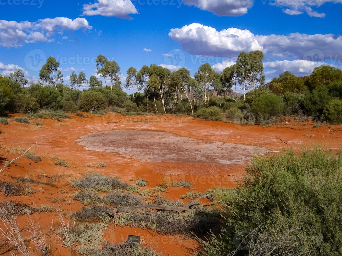 Australian outback landscape. Bush vegetation in dry season with red sand in Desert Park at Alice Springs near MacDonnell Ranges in Northern Territory, Central Australia. photo