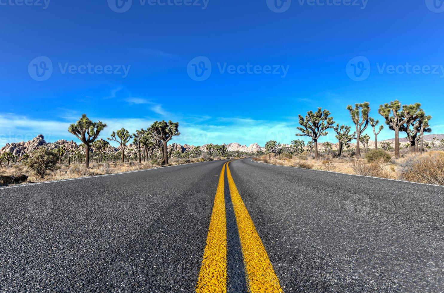 Beautiful landscape in Joshua Tree National Park in California. photo