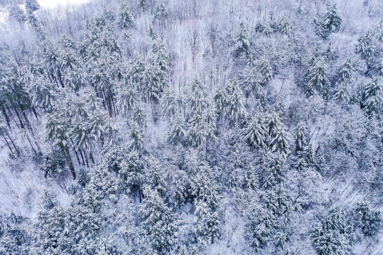 Aerial view looking down at snow covered forests of Vermont in the winter. photo