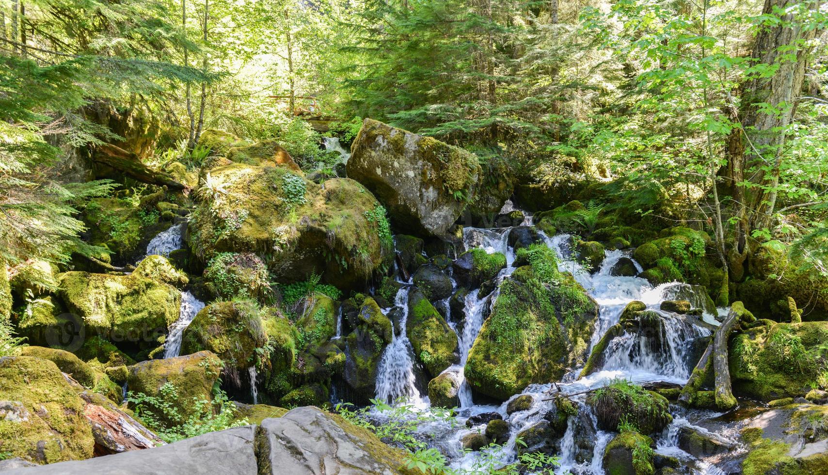 Watson Falls, Oregon photo