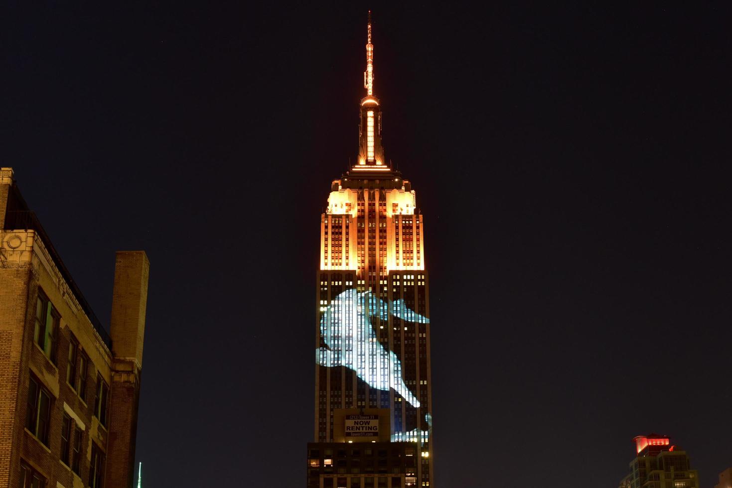 Empire State Building - Racing Extinction, New York, USA, 2020 photo