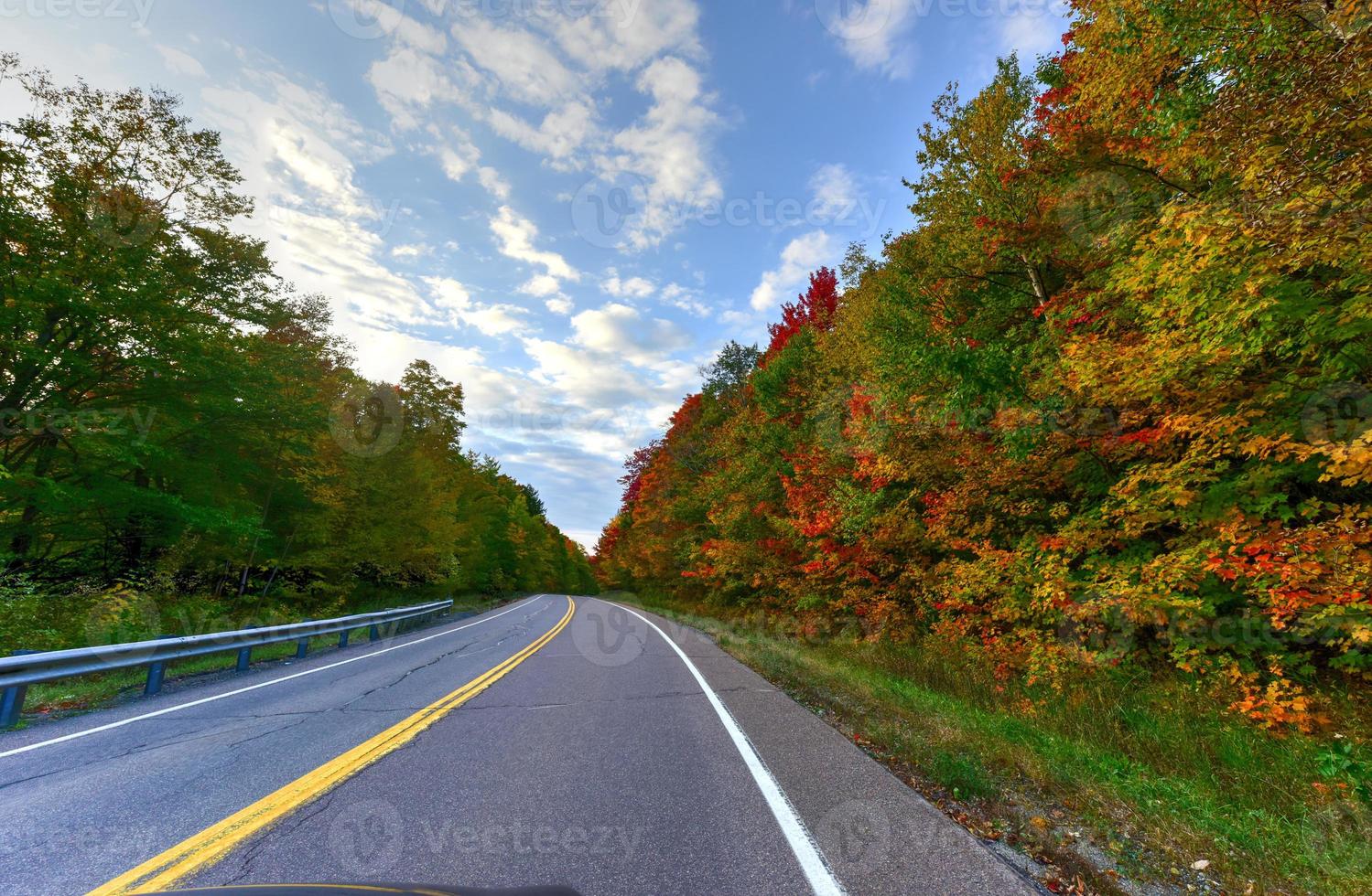 Fall Foliage Vermont photo