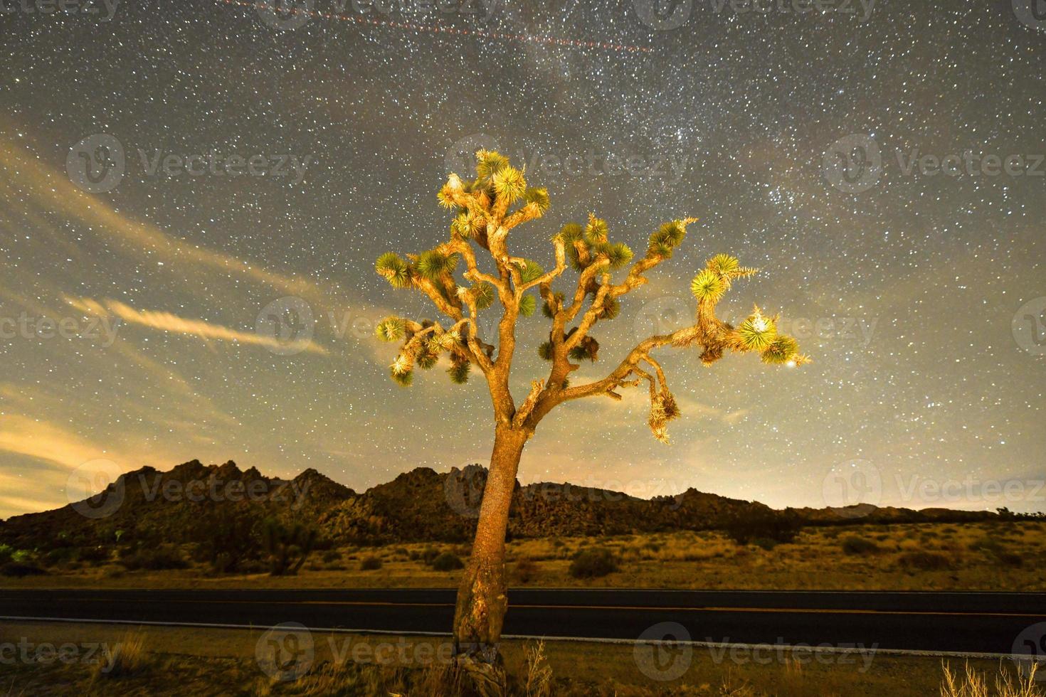 Beautiful landscape in Joshua Tree National Park in California at night. photo