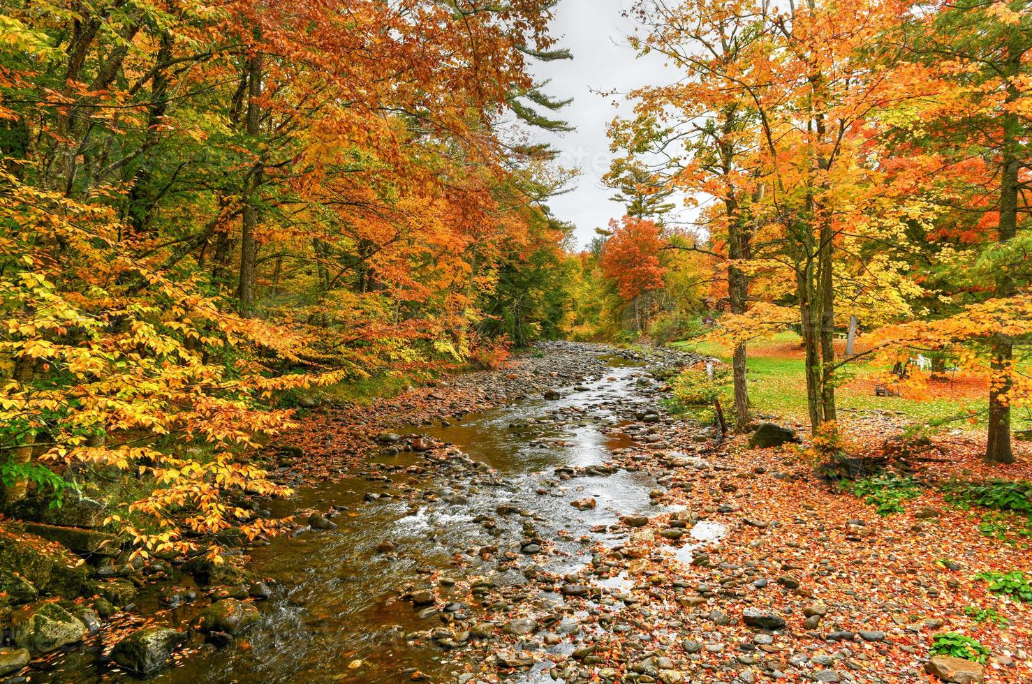 View from the Brookdale Covered Bridge in Stowe, Vermont during fall foliage over the West Branch Little River. photo