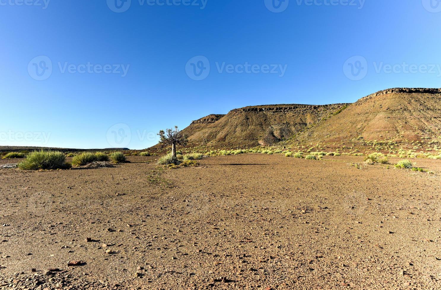 Fish River Canyon -Namibia, Africa photo