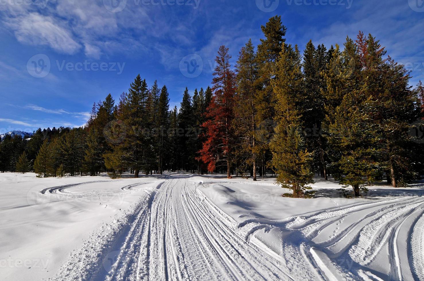 Fresh snowy landscape across Grey River in Wyoming, USA during the winter. photo