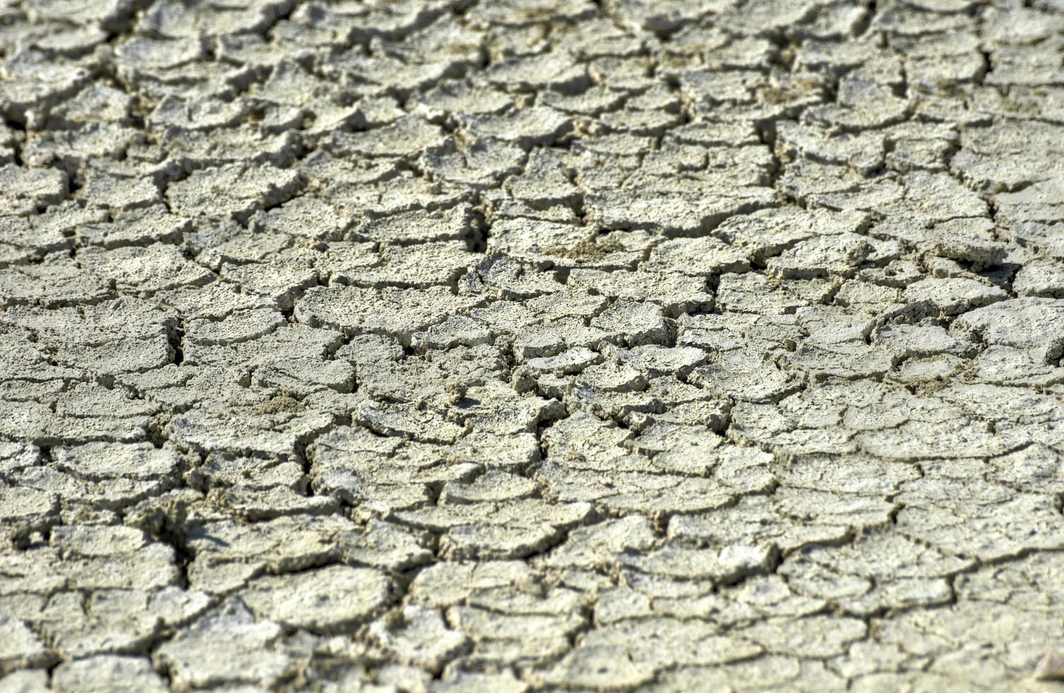 Etosha Salt Pan - Namibia photo