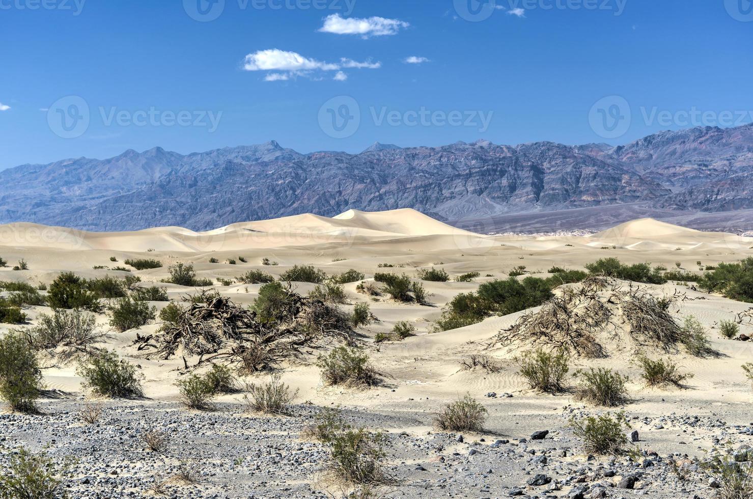 dunas de arena planas de mezquite, valle de la muerte foto