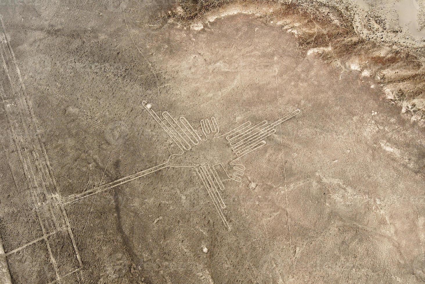 líneas de nazca - colibrí foto