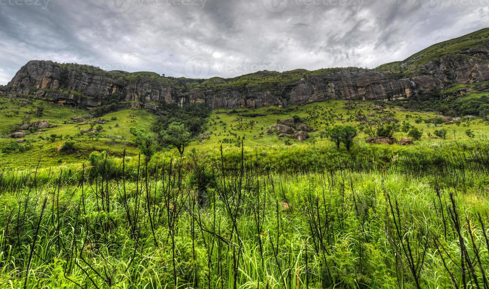 Landscape of Giants Castle Game Reserve photo