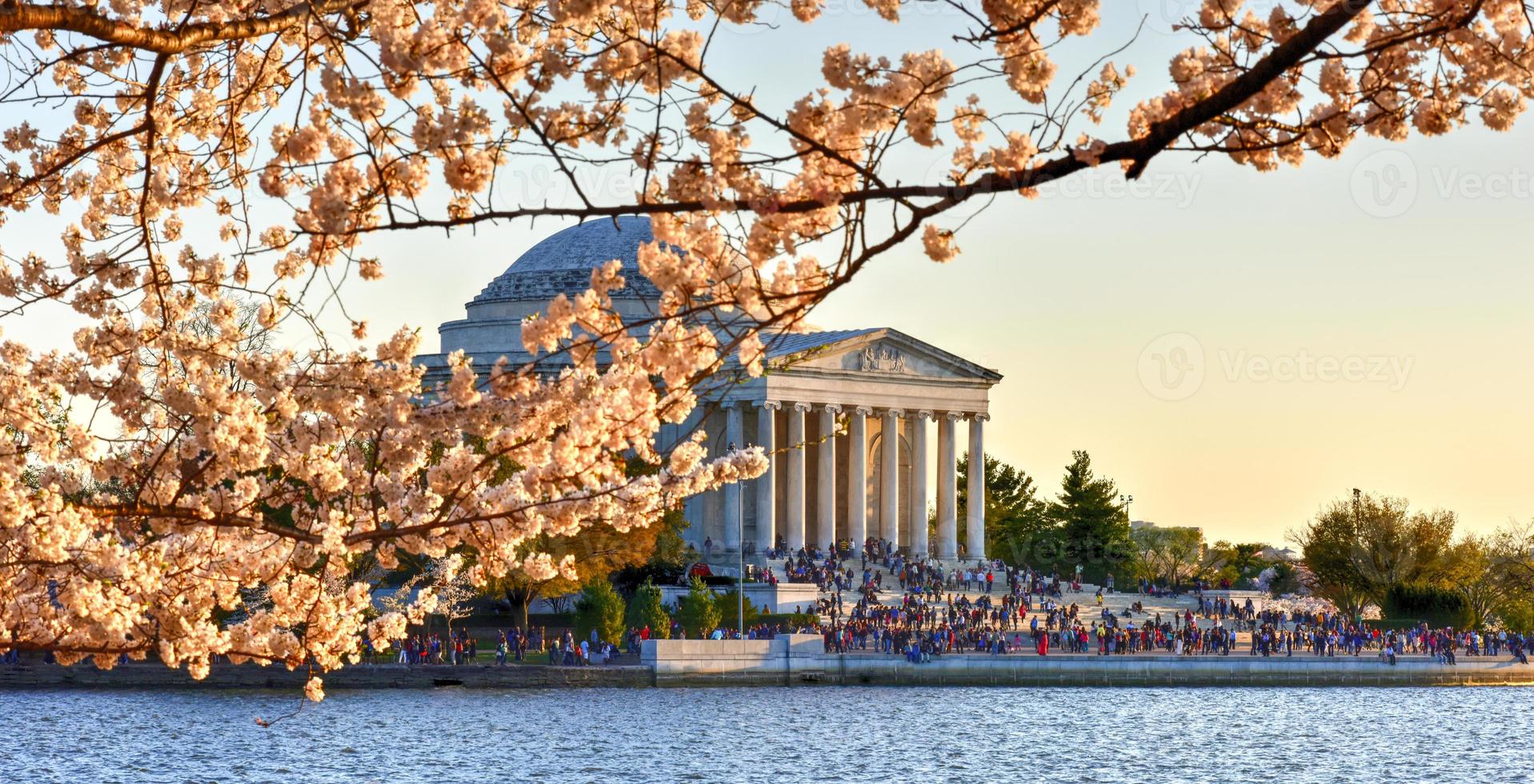 Cherry Blossom Festival - Washington, D.C. photo