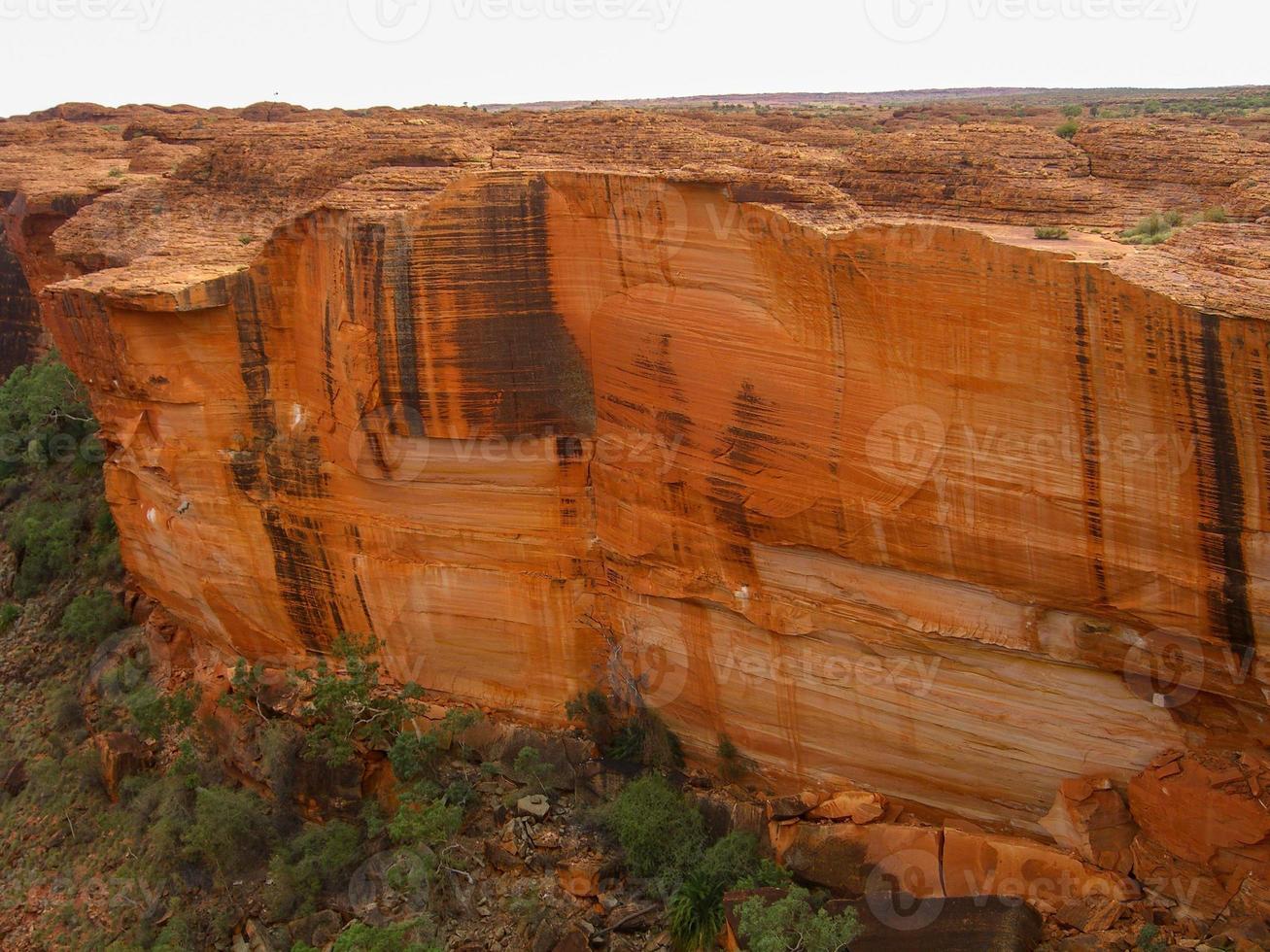 Panoramic view of Kings Canyon, Central Australia, Northern Territory, Australia photo