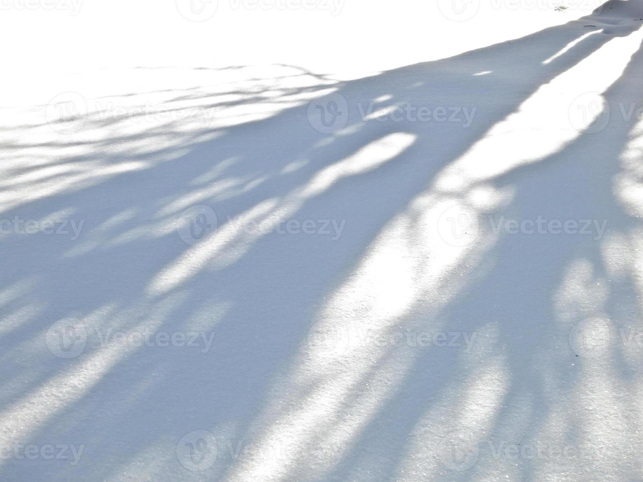 Fresh snowy landscape across Grey River in Wyoming, USA during the winter. photo