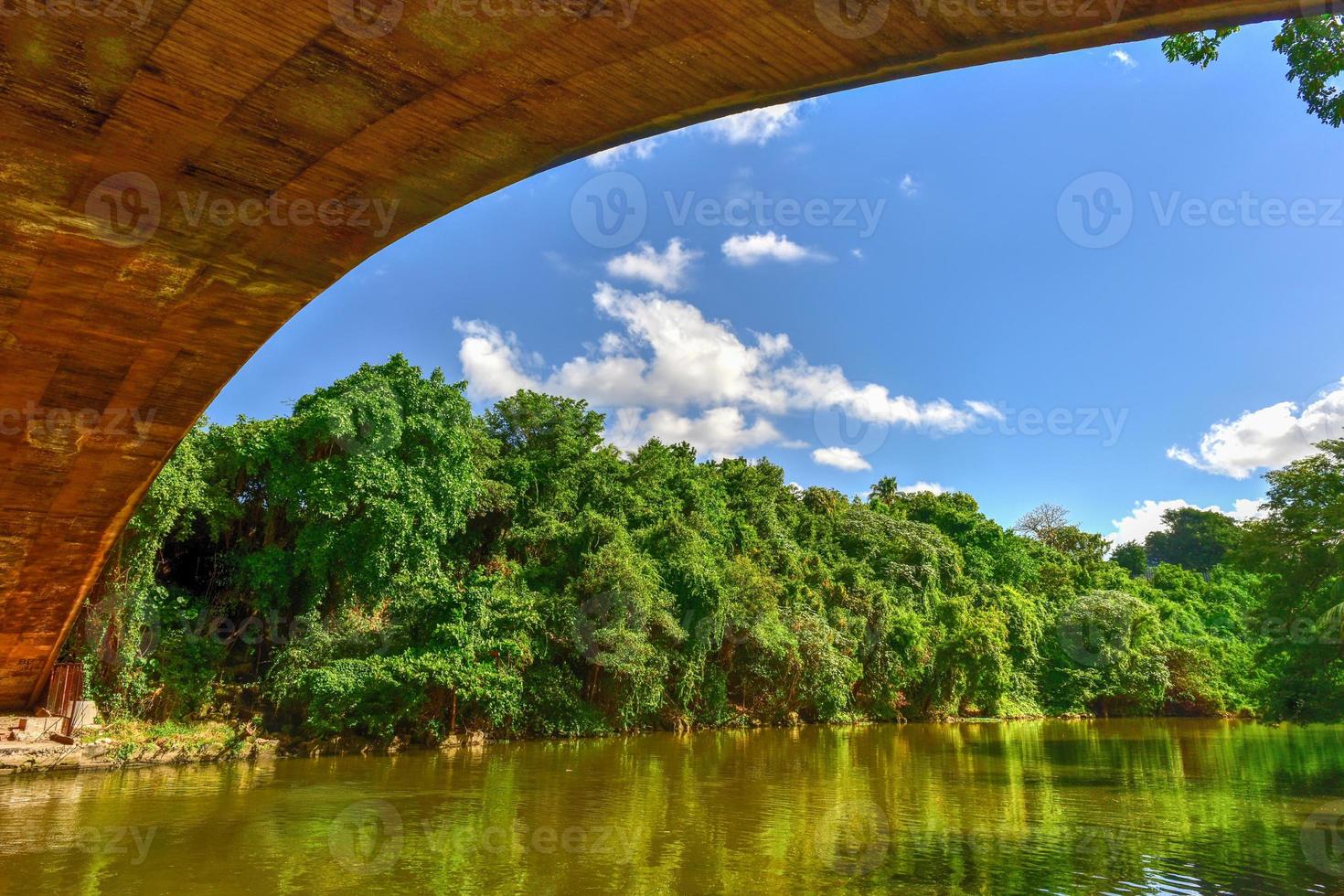 Almendares Park in the Great Metropolitan Park, also known as the forest of Havana in Cuba. photo