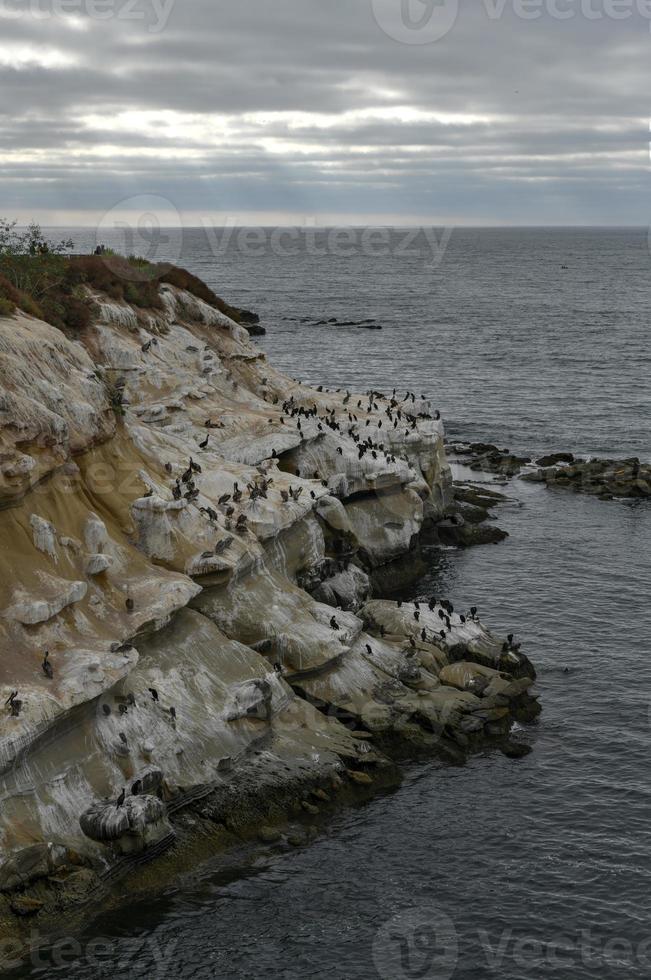 The Blue Waters of the Pacific Ocean Coastline Along the Beach of La Jolla, California. photo