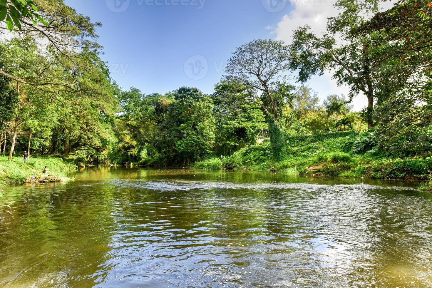 Almendares Park in the Great Metropolitan Park, also known as the forest of Havana in Cuba. photo