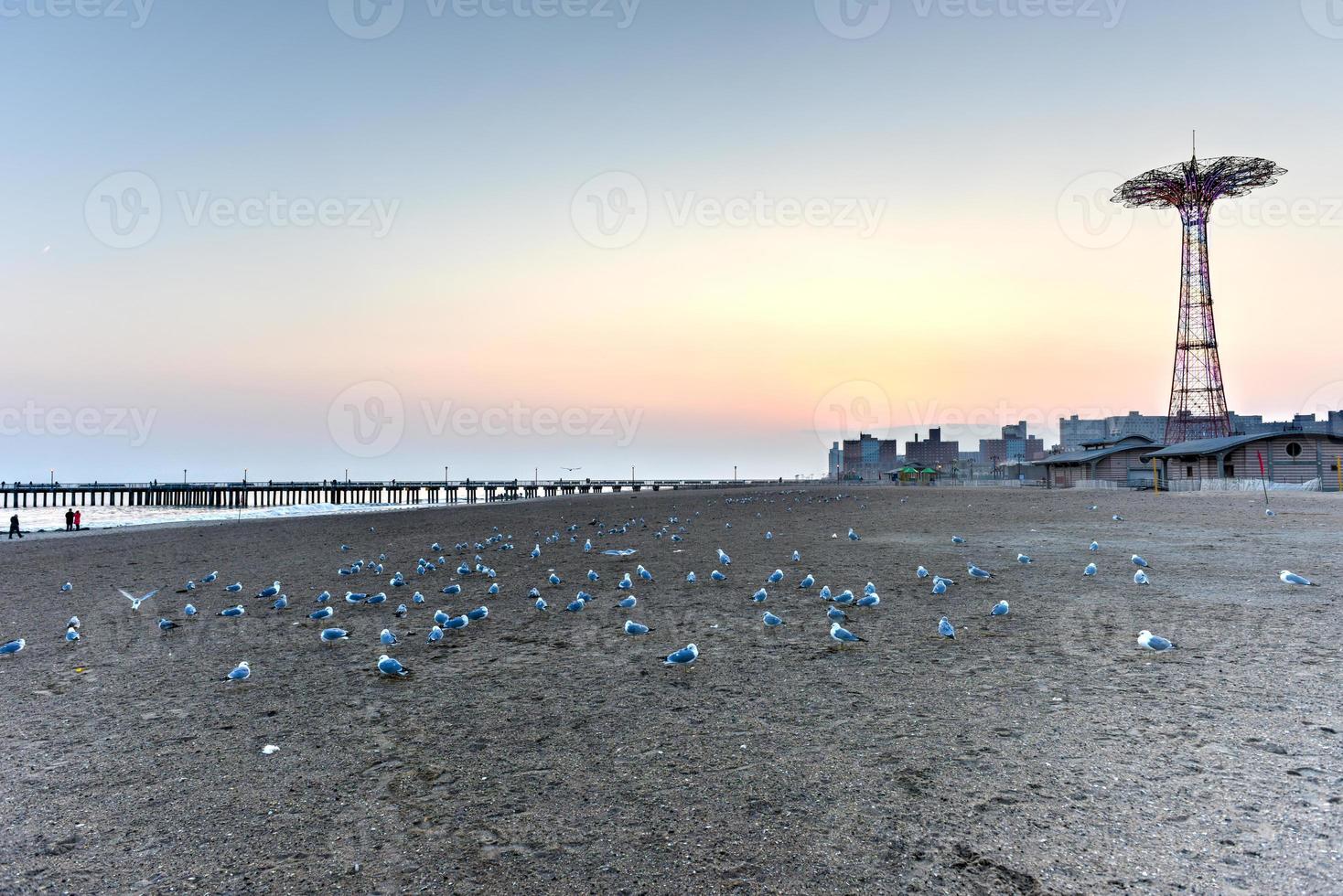 Beach with Seagulls photo