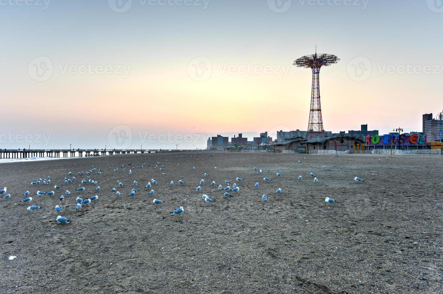 Beach with Seagulls photo