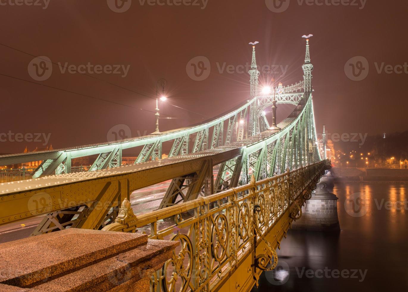 puente de la libertad - budapest, hungría foto