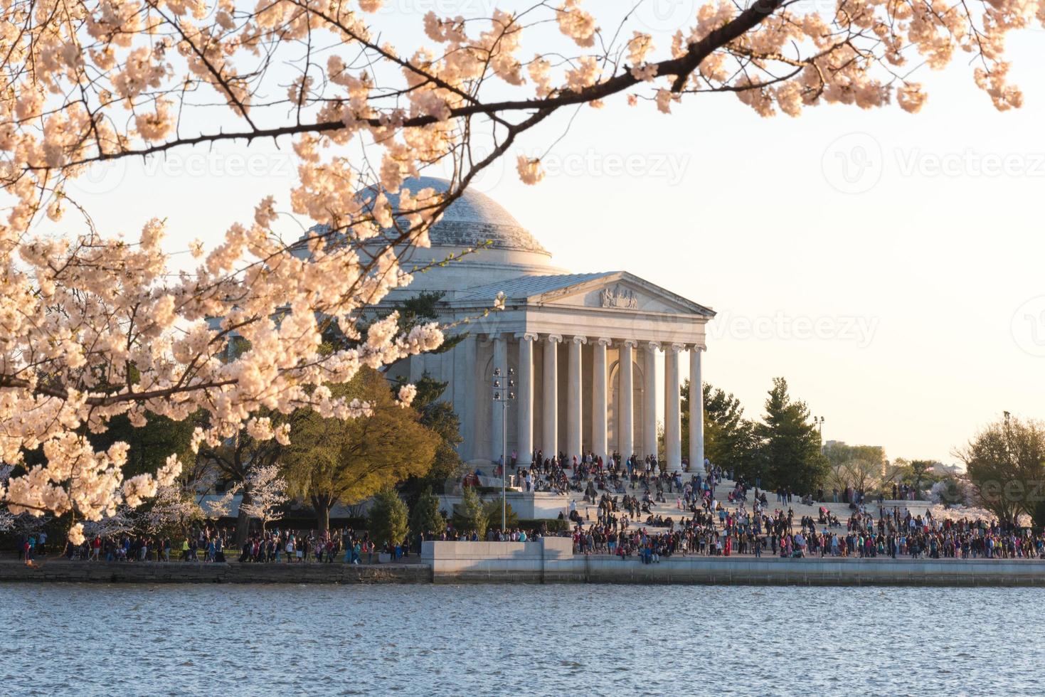 Cherry Blossom Festival - Washington, D.C. photo