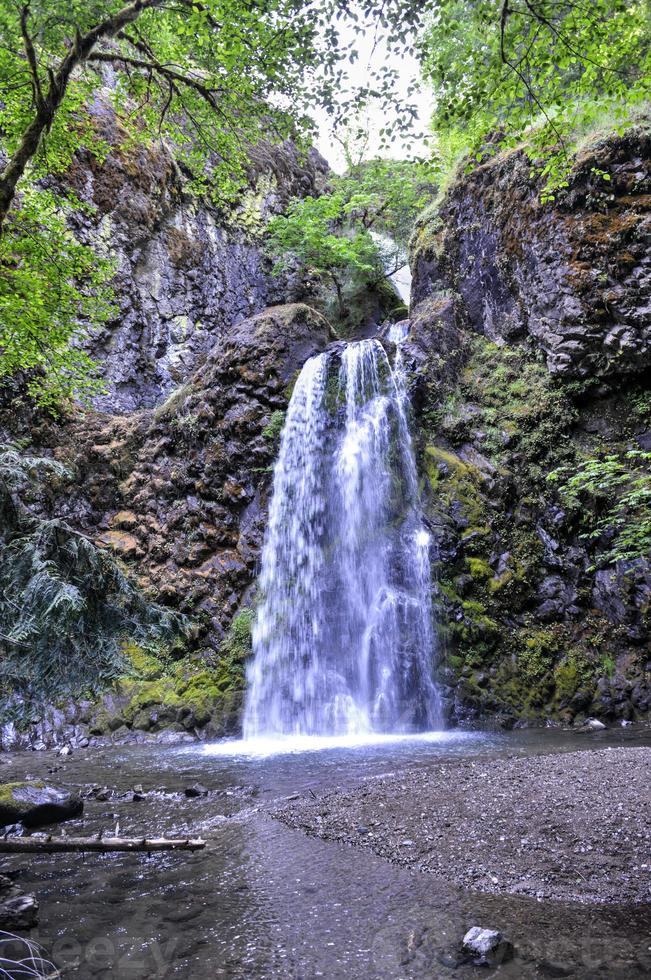 Fall Creek Falls, Oregon photo