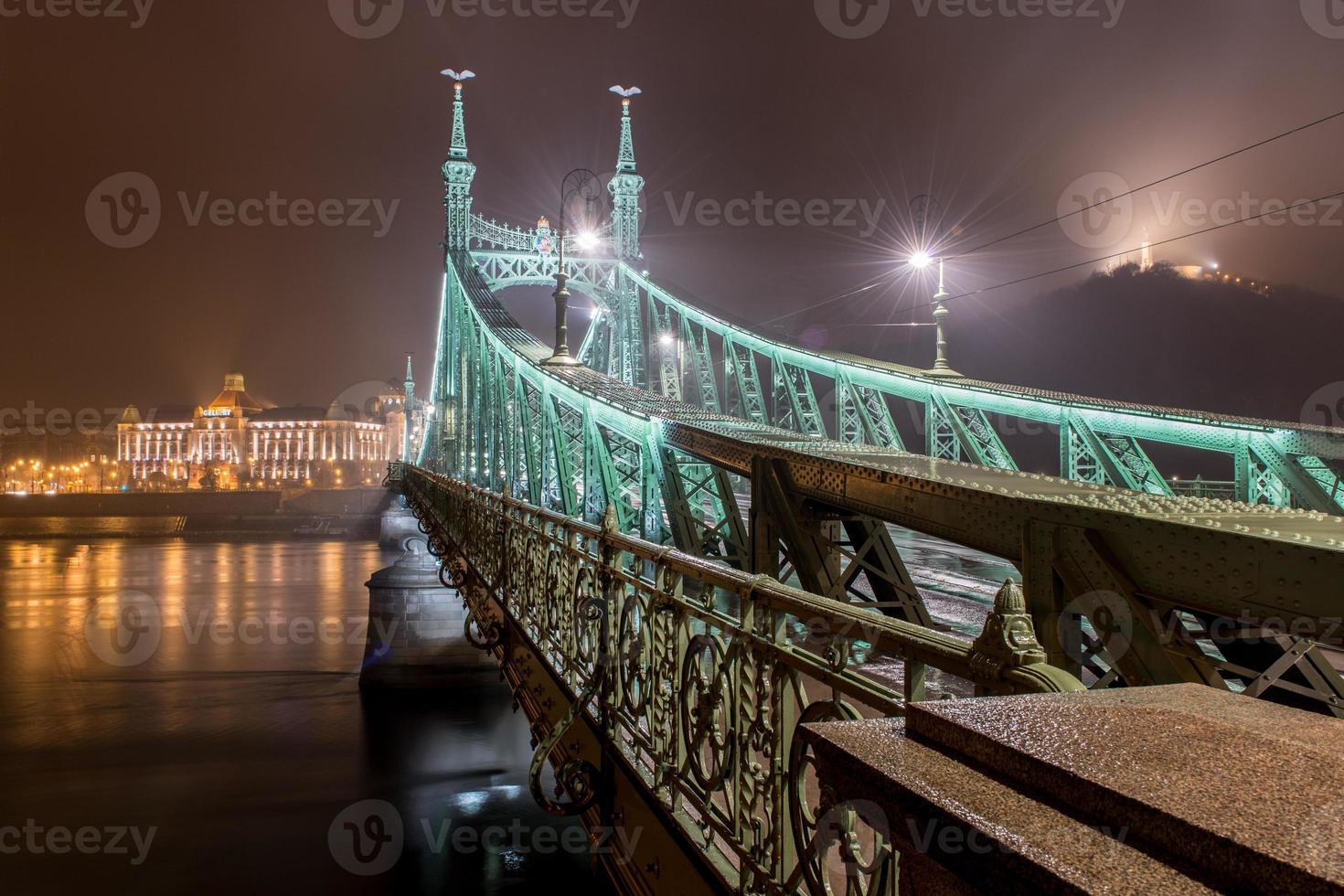 Liberty Bridge - Budapest, Hungary photo