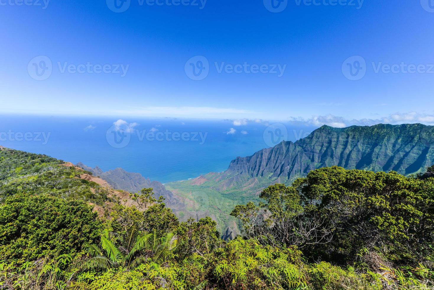 Kalalau Valley Panorama photo